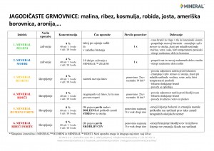 mineral-program_2018-jagodicaste_grmovnice