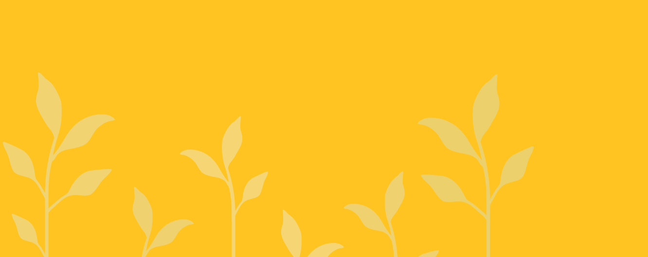 yellow_half_c