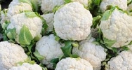 cruciferous_veg_3